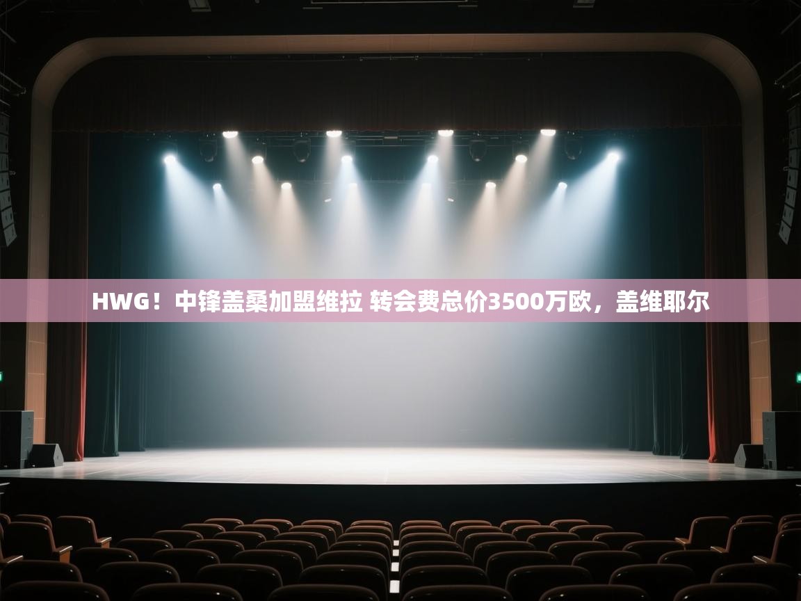 HWG！中锋盖桑加盟维拉 转会费总价3500万欧，盖维耶尔  第1张