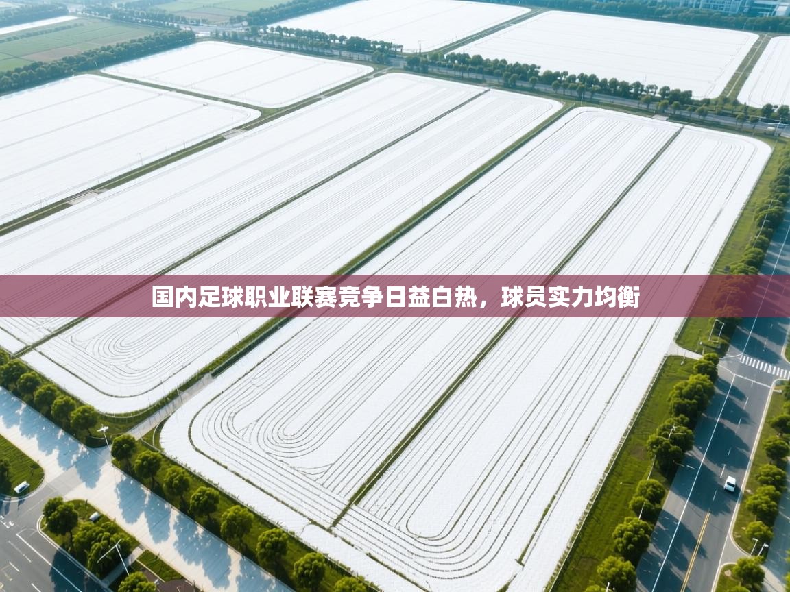 国内足球职业联赛竞争日益白热，球员实力均衡